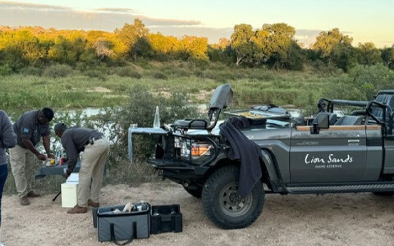 Exciting and memorable safari adventures like a drinks stop in the wild are a must for tourists visiting South Africa.