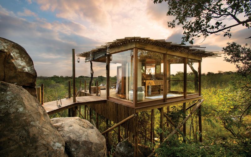 The ultimate luxury treehouse safari experience at Kingston Treehouse.
