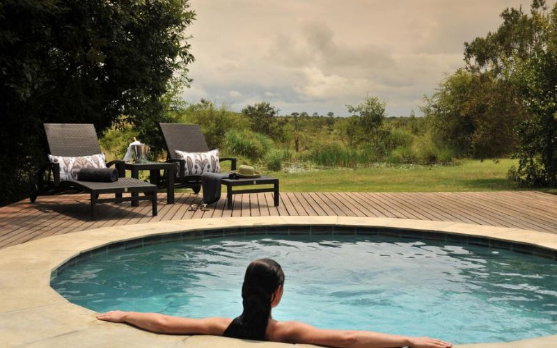 Negotiate safari prices for a great safari vacation