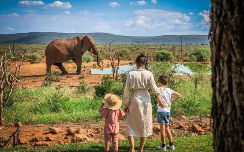 A mother and her children watch an elephant at a watering hole in a malaria-free game reserve—an ideal destination when deciding where to go on a malaria-free safari.