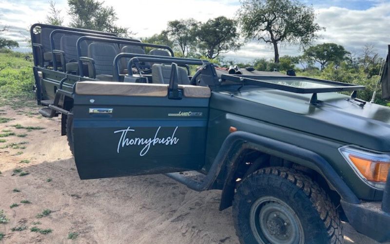 Valuable game drive tips are important when on a game viewer, like this one from Thornybush Game Lodge.