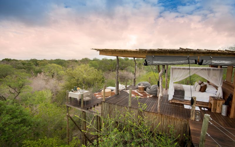Luxury treehouse safari in the Sabi Sand