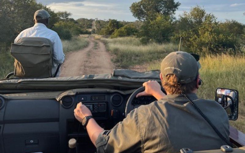 Game drive safety tip. Stay inside the vehicle.