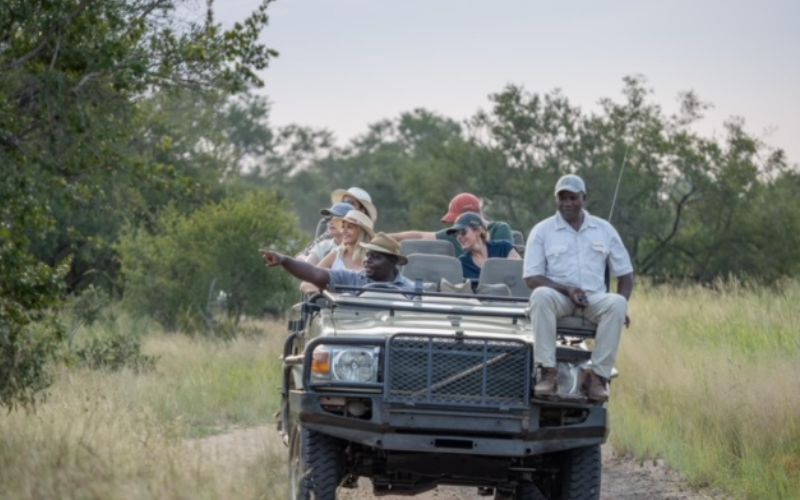 A classic big 5 safari with all guests spotting animals on the game viewer.