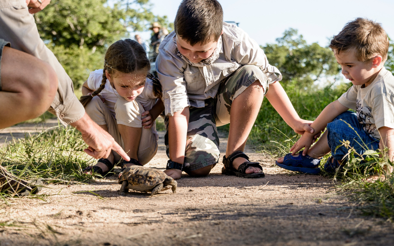 Best age to take kids on safari in Africa enables them to enjoy themselves on safari
