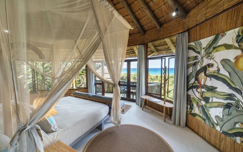 A beach safari where you can see the wilderness and sea from the room.