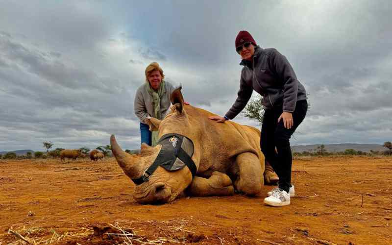 The owners of Marula Hill Travel experiencing a rhino conservation safari.