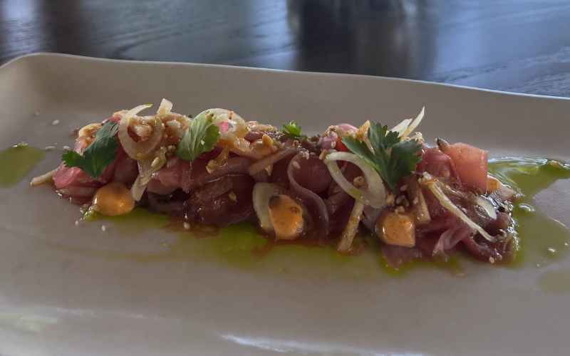 Gourmet dish served at the most expensive safari lodge, featuring finely sliced meat, fresh herbs, pickled onions, and a drizzle of infused oil on an elegant plate.