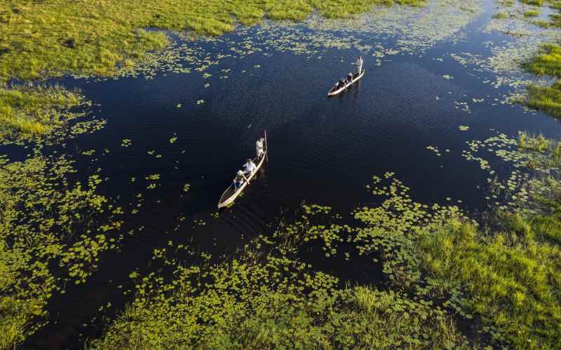 Botswani Safari