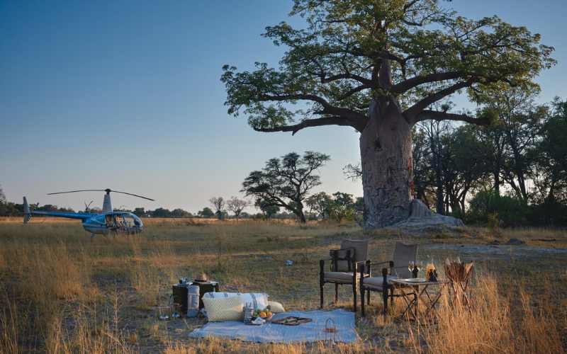 Botswana Safari pinic next to a Baobab Tree