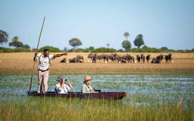 Botswana travel bucket list mokoro canoeing experience.