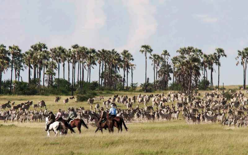 A horse back safari is a Botswana bucket list experience