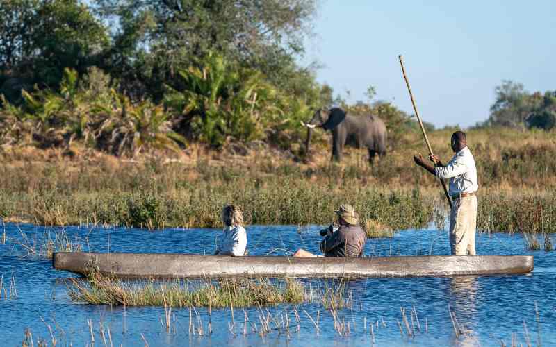 Best time to visit Botswana for the Okavango Delta water safari experience. Plan your trip between May and August.