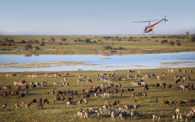 Botswana Travel Bucket List. Helcipoter over the great herds.