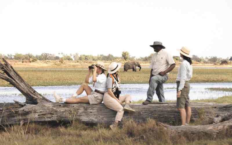 Botswana safari price and why it's expensive is personalised attention from your guide